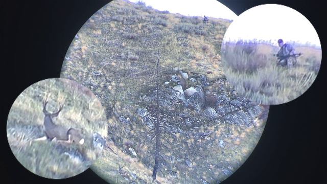 Deer Hunting | Archery Mule Deer | Washington Rut Hunt смотреть онлайн