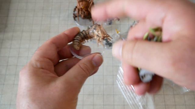 Boneyard Dungeons and Dragons Miniatures Unboxing from DnDMini смотреть онлайн