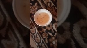 как избавиться от домашних блох в доме....