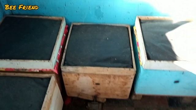 Как перезимовать без потерь❄️Правильная вентиляция в улье смотреть онлайн