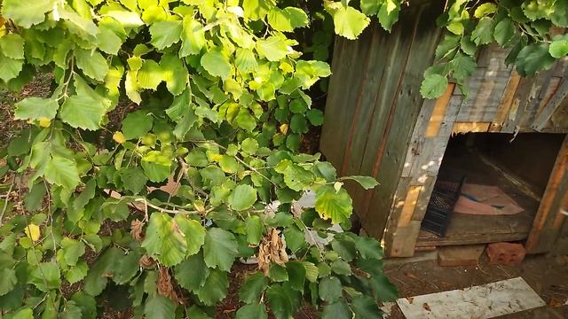 Убираю, готовлю, стираю, кормлю, купаю... житие мое смотреть онлайн