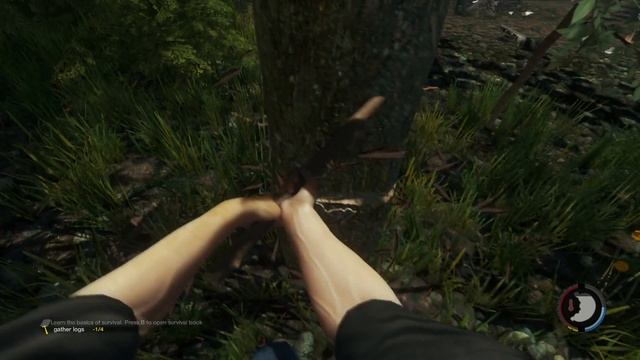 The Forest (альфа 0.01) #1 - Первая ночь смотреть онлайн