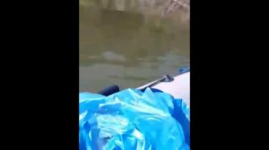 рыбалка в Кучуке 29 30 07 2021