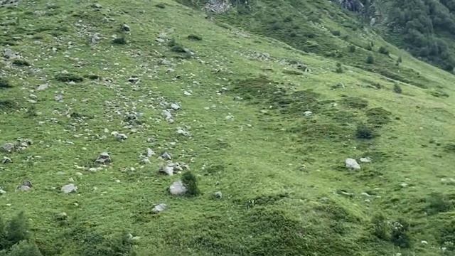 ОТДЫХ И ЛЕЧЕНИЕ В ГОРАХ ! КИСЛЫЕ ИСТОЧНИКИ! смотреть онлайн