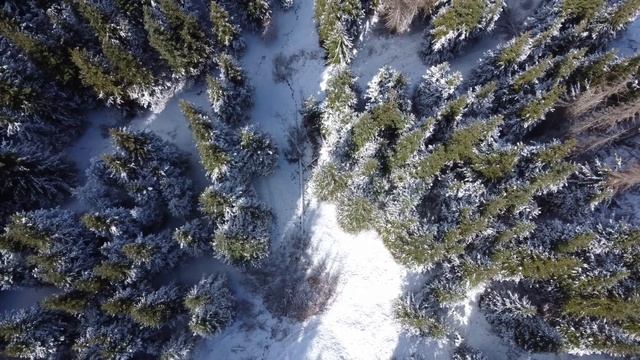 Природа Алматы, озеро Иссык, Чарынский каньон, озеро Кольсай смотреть онлайн