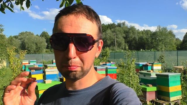Мед з липи якого кольору? Махінації при прийомці меду смотреть онлайн