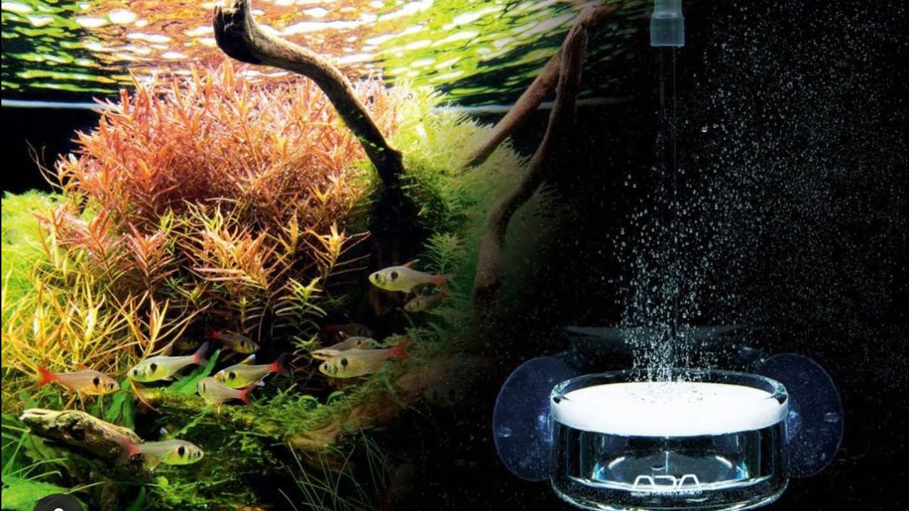 Co2 в природном аквариуме ADA Амано