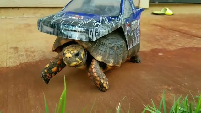 Ultimate Rock Crawler смотреть онлайн