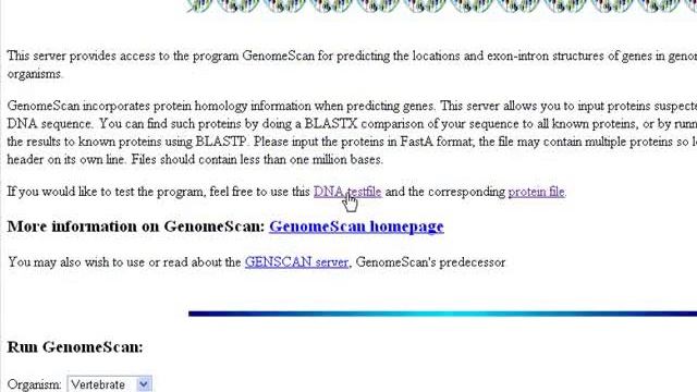 Bioinformatics Tutorials (Lesson 8):Using Genomescan to parse genomes (find exons or coding regions смотреть онлайн