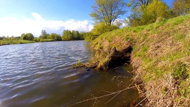 Рыбалка на деревенском пруду на щуку весной! смотреть онлайн