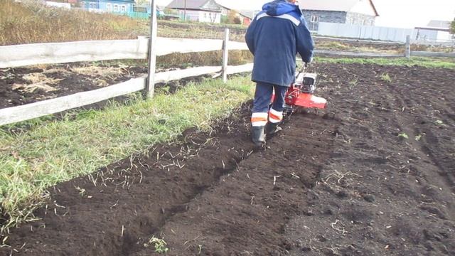 Мотоблок Брайт.Первый выезд на поле с фрезами. смотреть онлайн