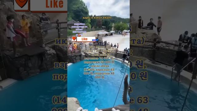 Южная Корея - ? Аква Парк?