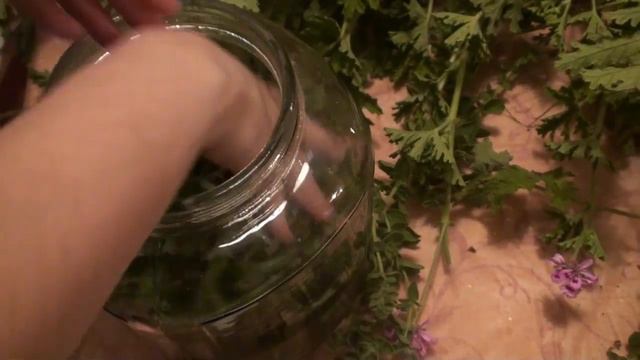 Φτιαξε λικερ αρμπαροριζας