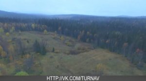 Лучшие навигаторы для охоты с собакой 2023❗