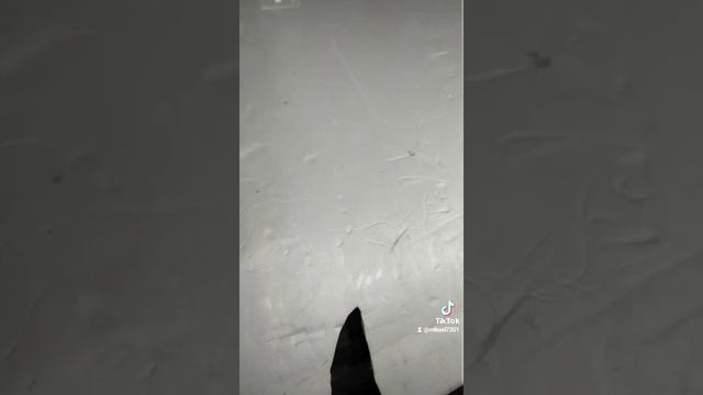 Ремонт сколов и трещин на лобовом стекле автомобиля уфа ул Пугачева 68 у Микаэля. смотреть онлайн