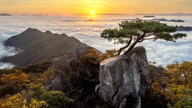 Непокоренные. Действие Закона Отражения в нынешней реальности.