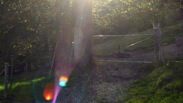 «ПЛАВАЮЩИЕ» МЕЖДУ ИЗМЕРЕНИЯМИ.