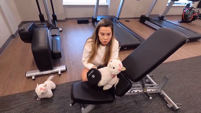 TAKING MY LLAMAS ON A SPONTANEOUS ROAD TRIP !! *interesting*