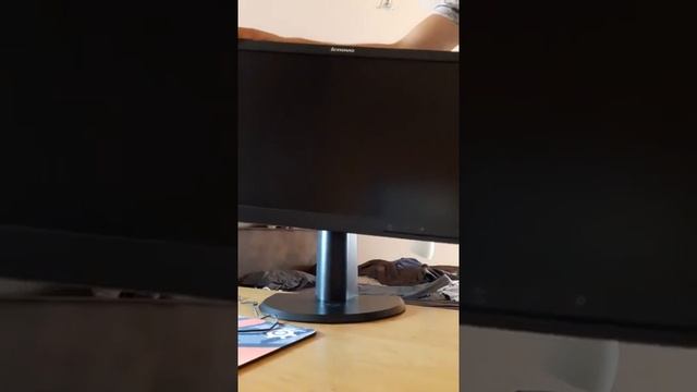 Lenovo ThinkVision LT2252pwD смотреть онлайн