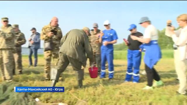 Более 400 миллионов мальков выпустили в Обь Иртышский бассейн смотреть онлайн