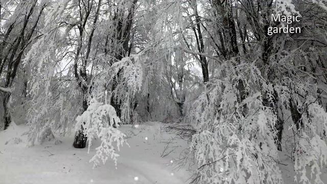 В снежной тишине. Музыка Эдгара Туниянца. Красивая мелодия. Музыка для души смотреть онлайн