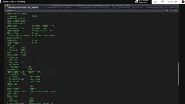 PostgreSQL Operator 4.3 Feature Demo: Resources Management Tablespaces & Resizing смотреть онлайн