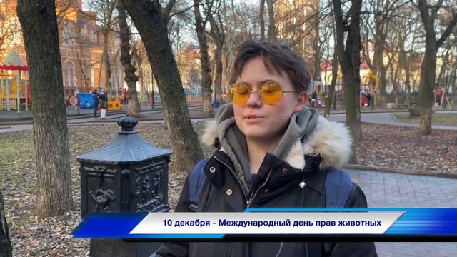 Школа журналистики ИФЖиМКК - Сюжет Алины Гайнутдиновой ко дню прав животных смотреть онлайн