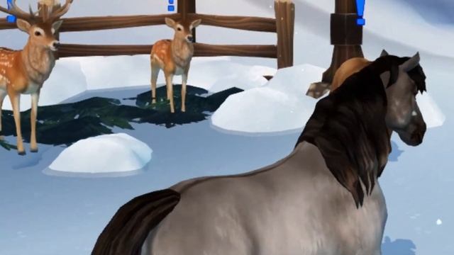 что делают ваши лошади, пока вы не в игре?