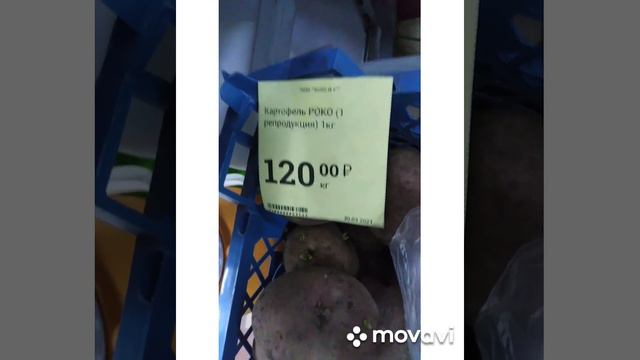 Какой сорт картофеля выбрать? Прошу помочь. смотреть онлайн
