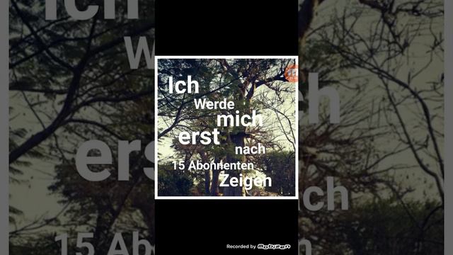 Vanessa Stütz 1 Folge смотреть онлайн