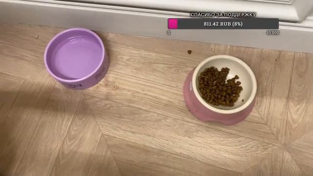 Добрый вечер смотреть онлайн