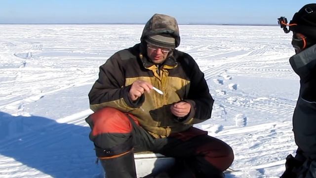 Уловистая блесна на окуня и судака «Alex», комментарии производителя…