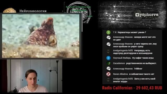 Существа из морских глубин с ВОСЕМЬЮ МОЗГАМИ смотреть онлайн