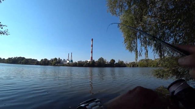 ТАКИХ РЫБ Я ЕЩЁ ТОЧНО НЕ ЛОВИЛ! ЧТО ЗА РЫБА !??? Спиннинг Evergreen Poseidon Salty Sensation 73T смотреть онлайн