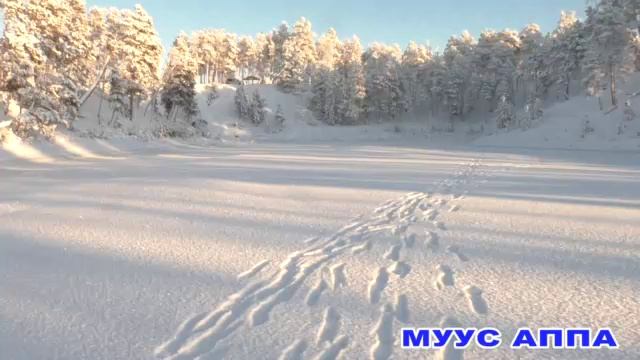 Муус Аппа село Оргет смотреть онлайн