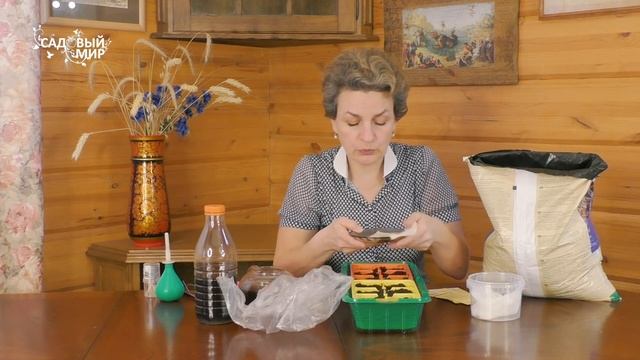 Посев перцев на рассаду. Надежные семена – 100% успех смотреть онлайн