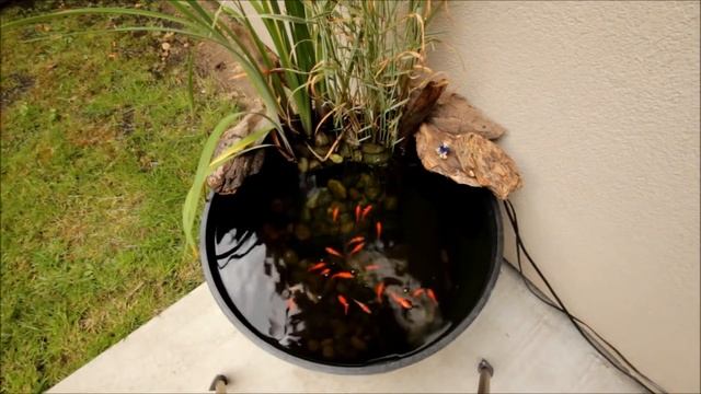 МИНИВОДОЁМ НА ДАЧНОМ УЧАСТКЕ, ЛЕГКО! смотреть онлайн