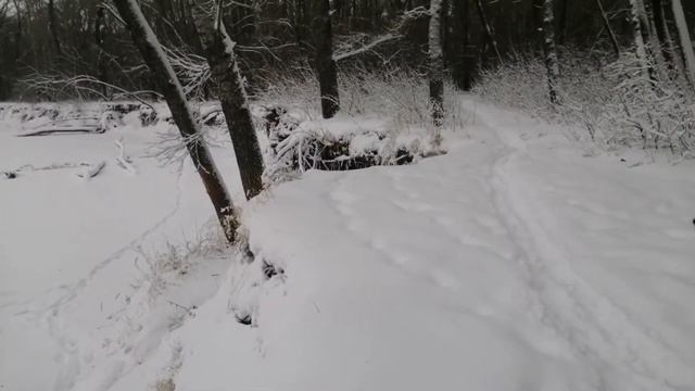 Поймал налима на 1900гр смотреть онлайн