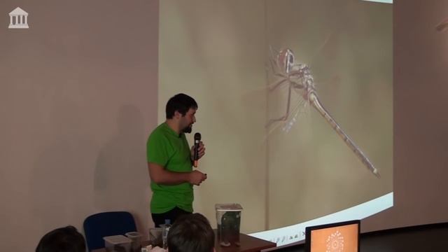 Энтомология смотреть онлайн