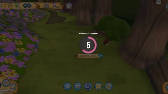 Летнее обновление в Animal Jam😋🌞