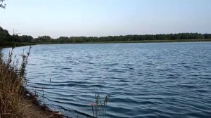 Рыбалка Август 2021 Енотаевка Ерик Бешеный клев сазана