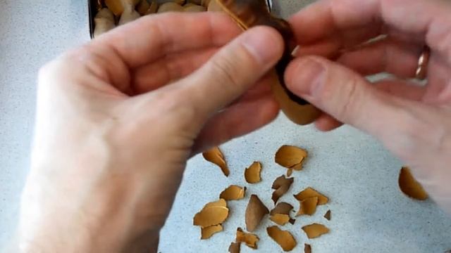 Приколы на кухне. Тамаринд - что это?