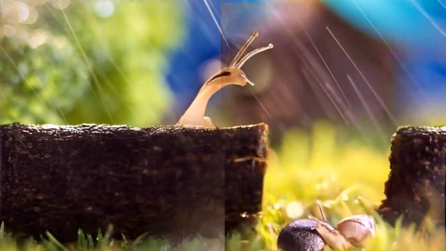 Музыка природы новый год хорошие настроение смотреть онлайн