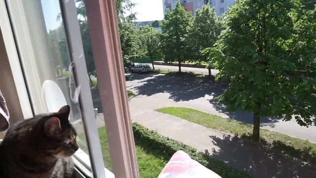 Sony a6000 (ILCE-6000) sample video (пример видео) смотреть онлайн
