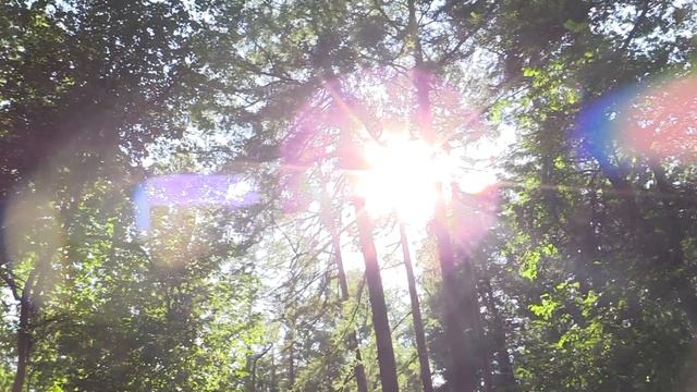 Canon Legria HF G26 видеосъёмка природы в парке смотреть онлайн