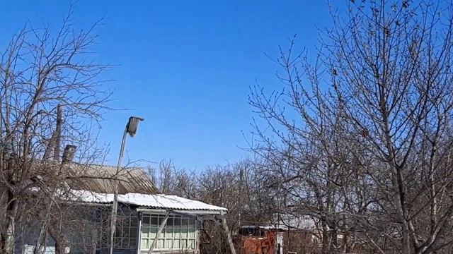 Самоизоляция на даче. Метель в Саратове 12 апреля. Жить на природе или в городе? смотреть онлайн
