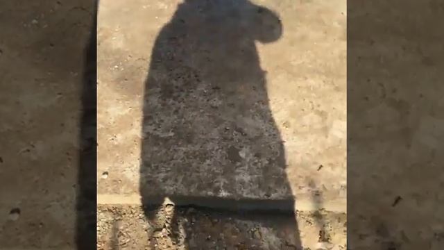 Садовый геотекстиль смотреть онлайн