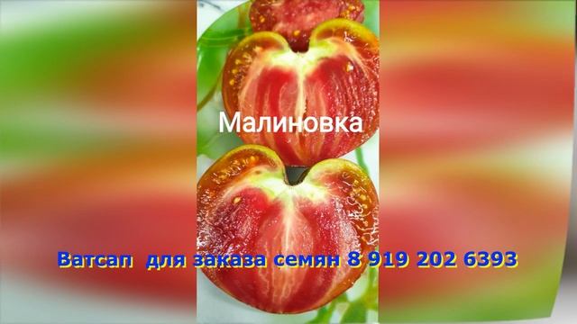 Полный каталог новинок 2023 года