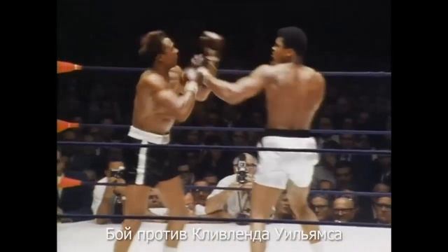 5 Лучших боёв в память Мухаммеда Али смотреть онлайн