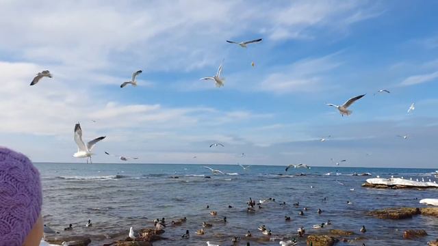 Берег Каспийского моря смотреть онлайн